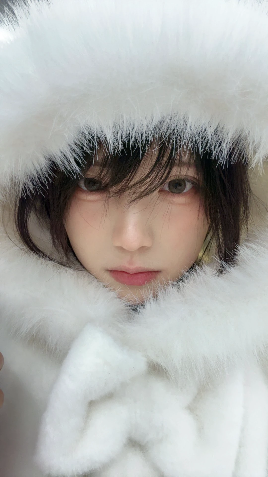 雪地里的棉花糖本人