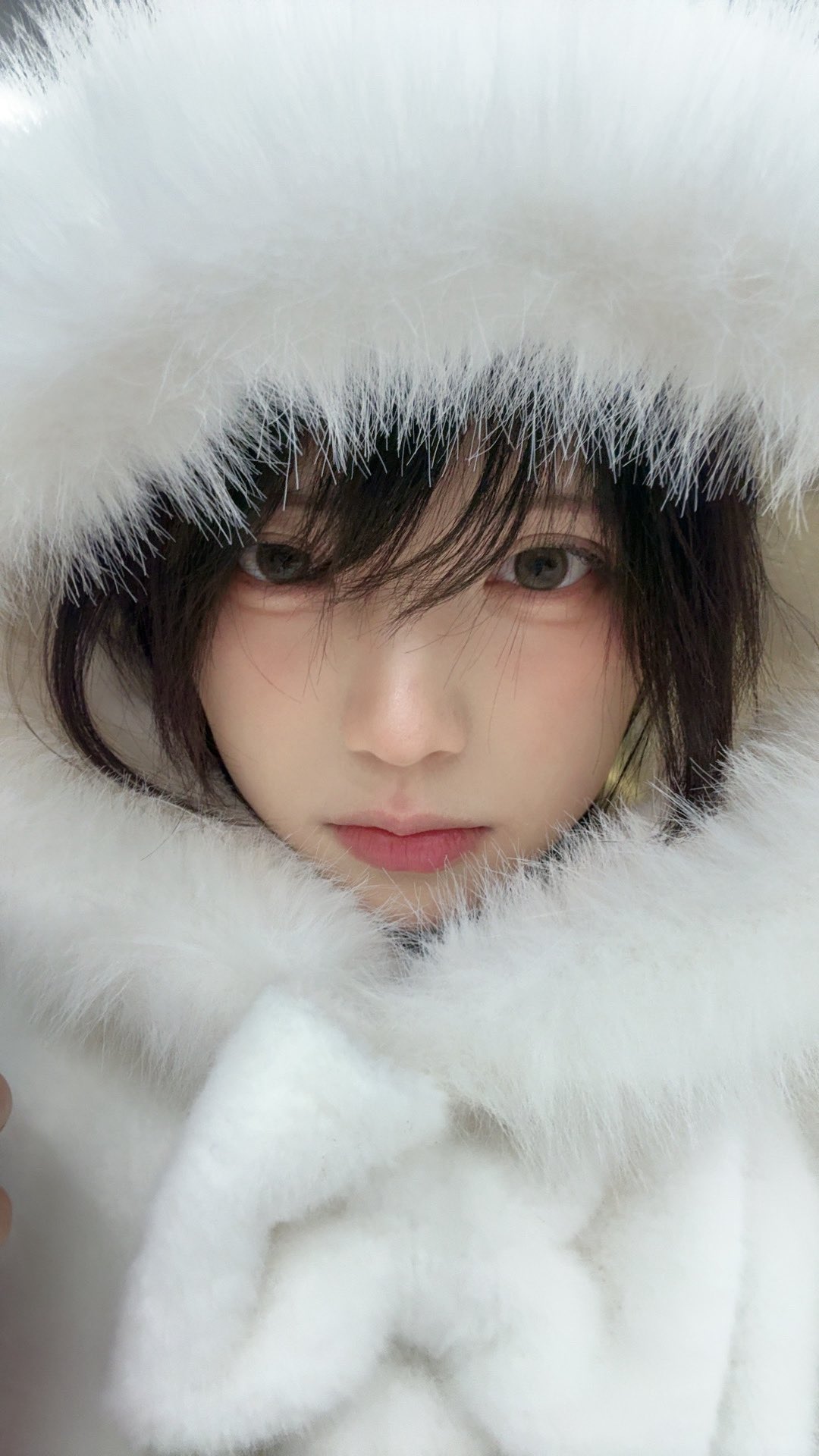 雪地里的棉花糖本人