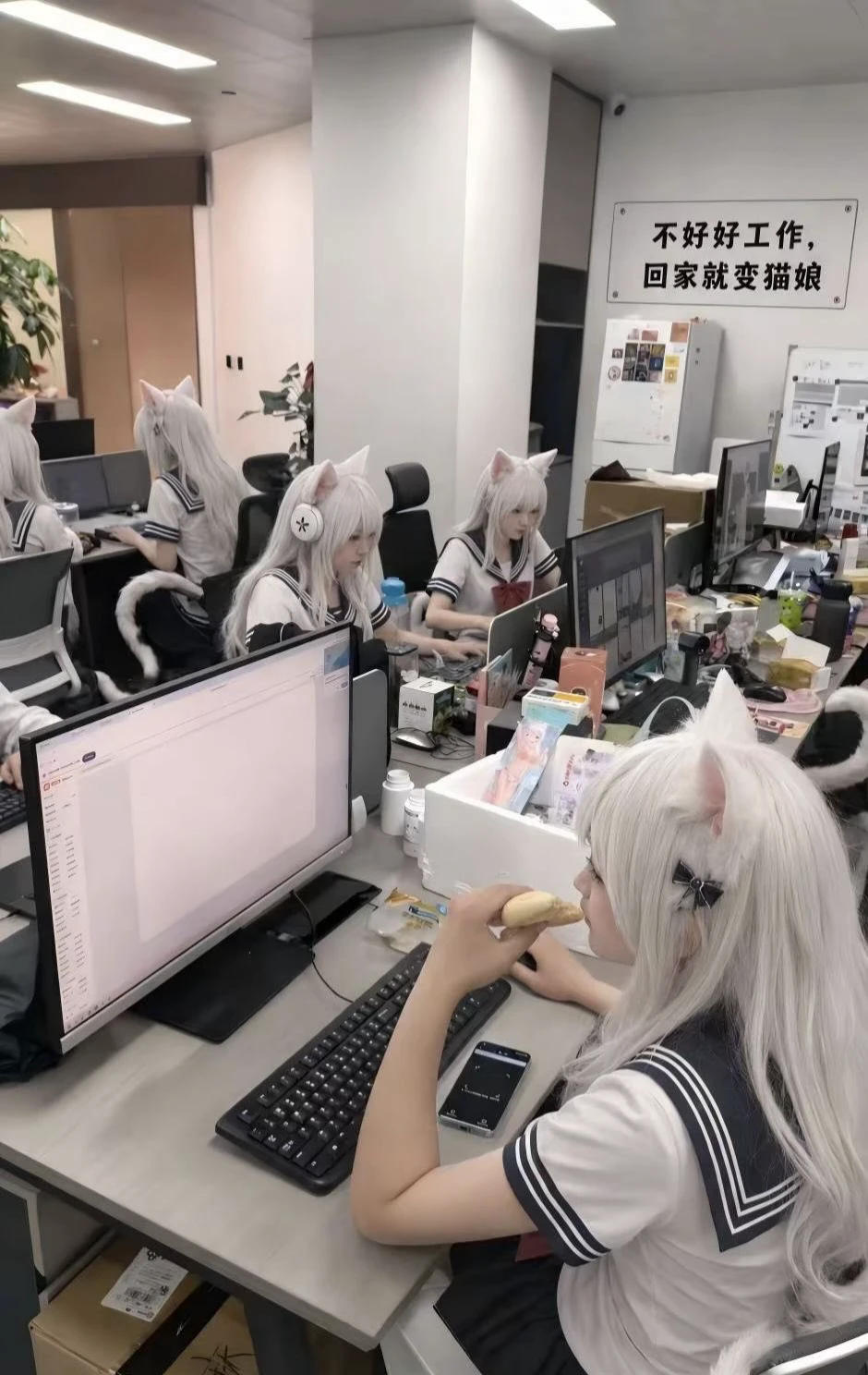 猫娘办公室被迫营业中
