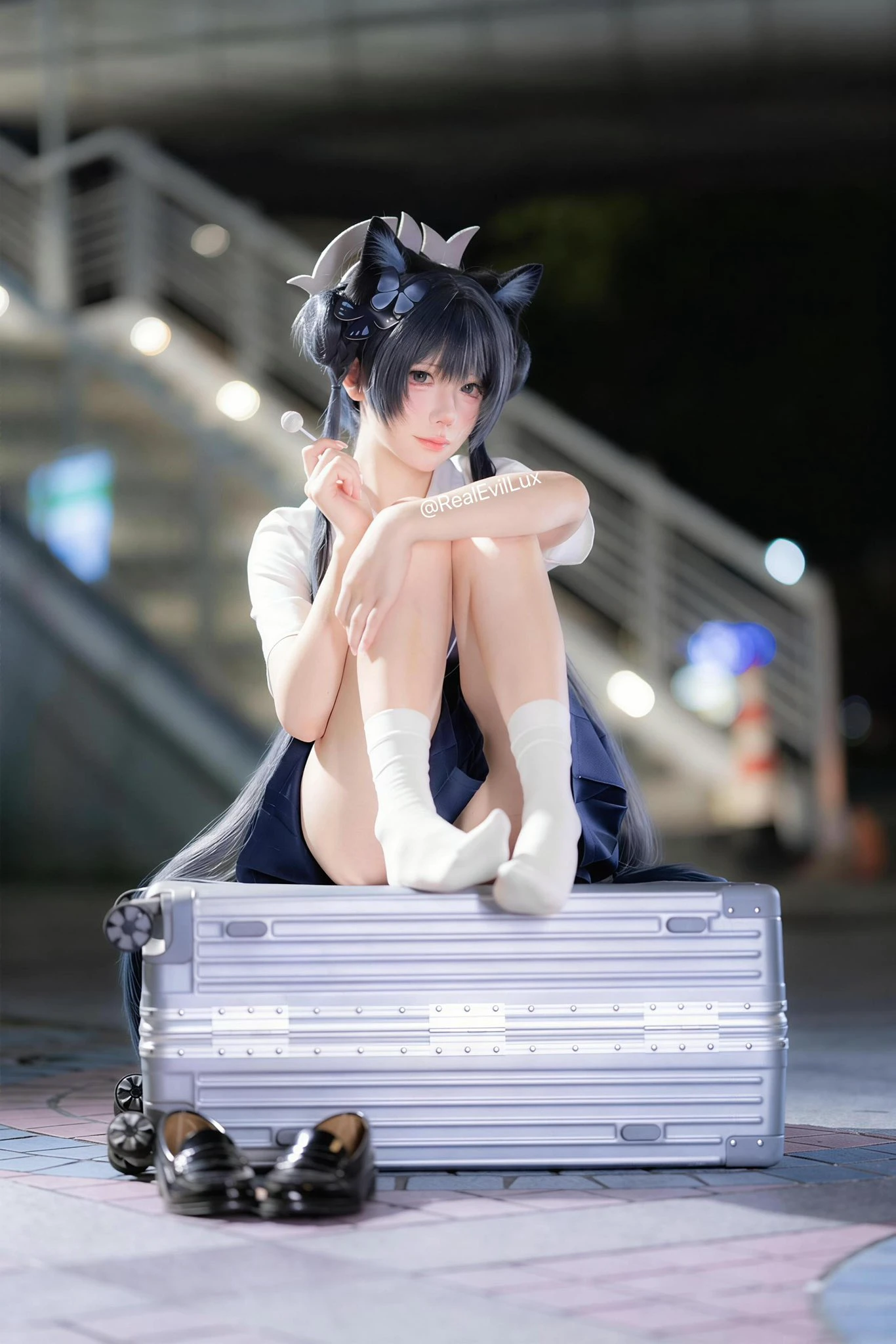 带上猫耳行李去流浪