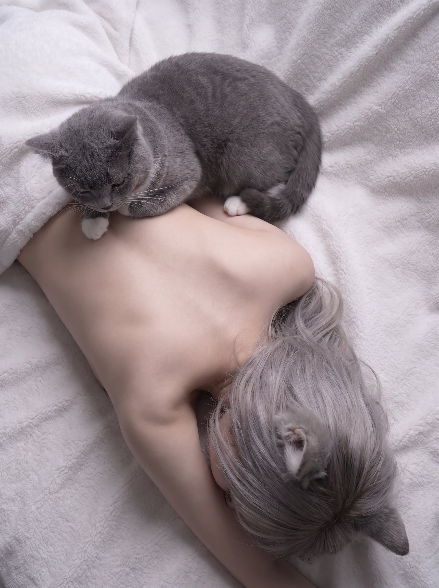 猫咪才是真主人