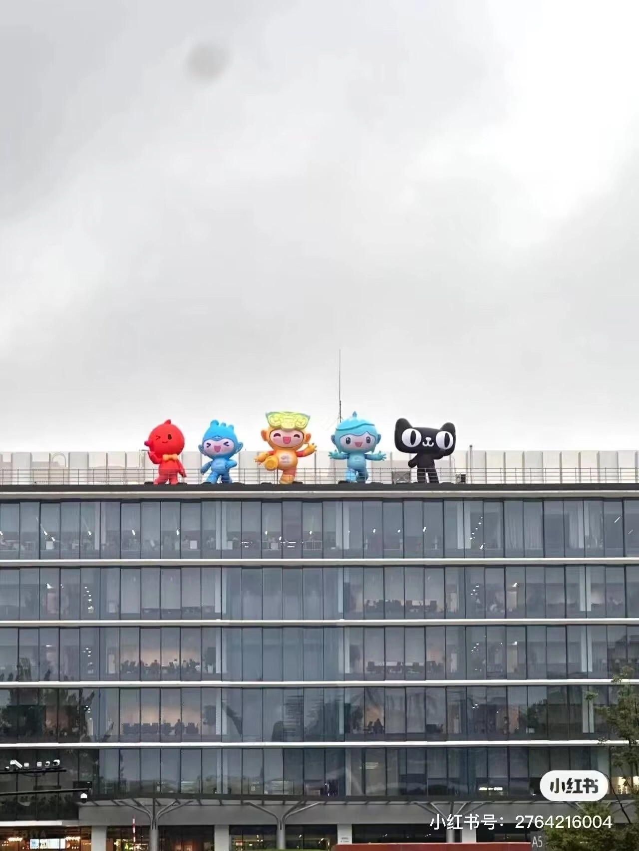 营销目的达到了