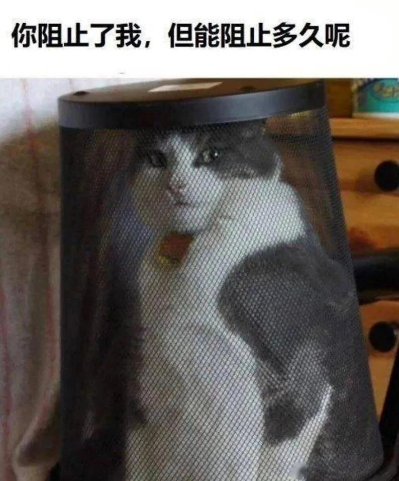 你阻止了我，但能阻止多久呢