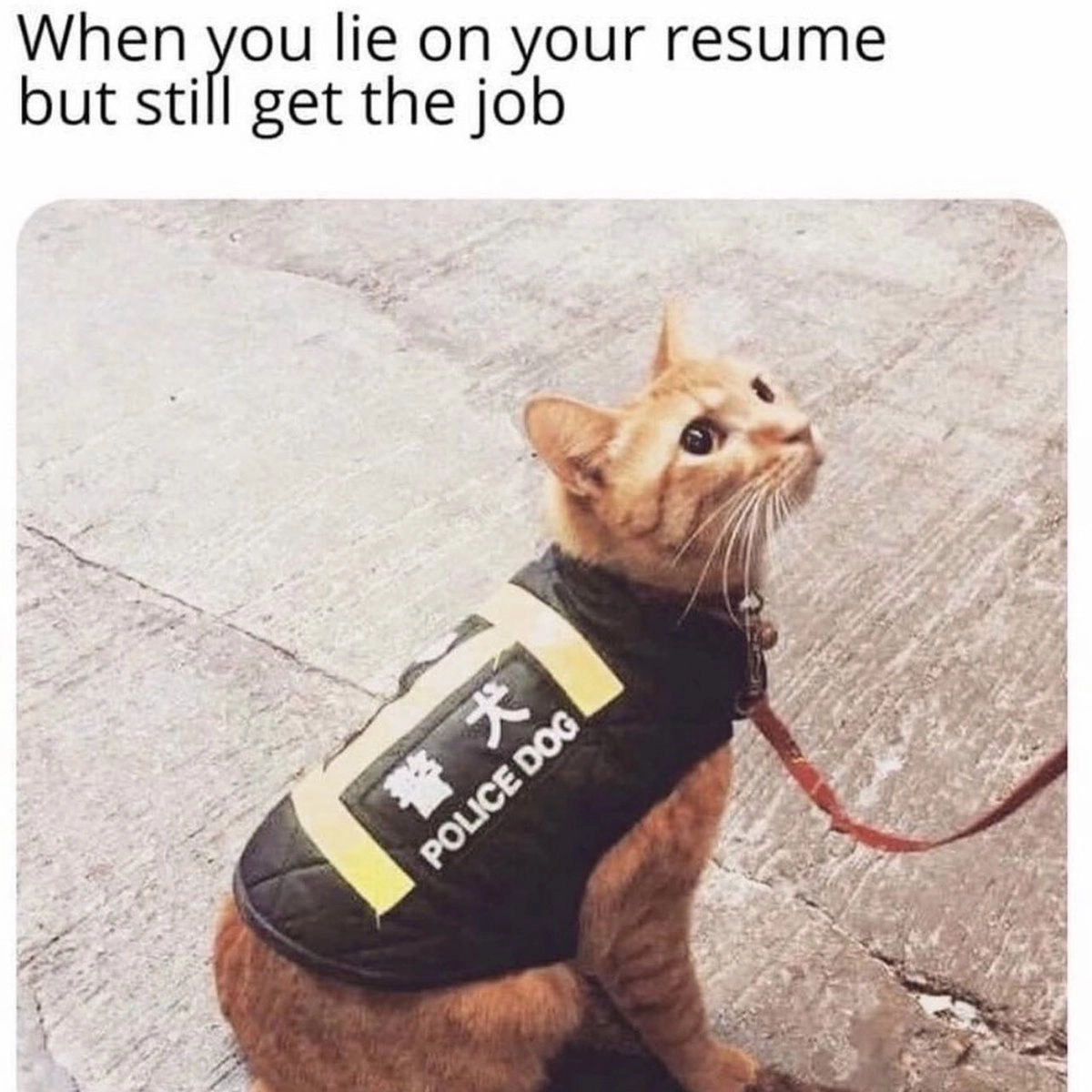 与面试不符