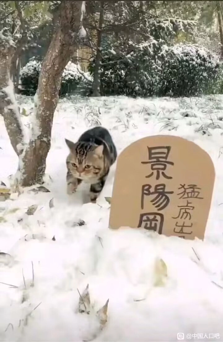 猛虎下山