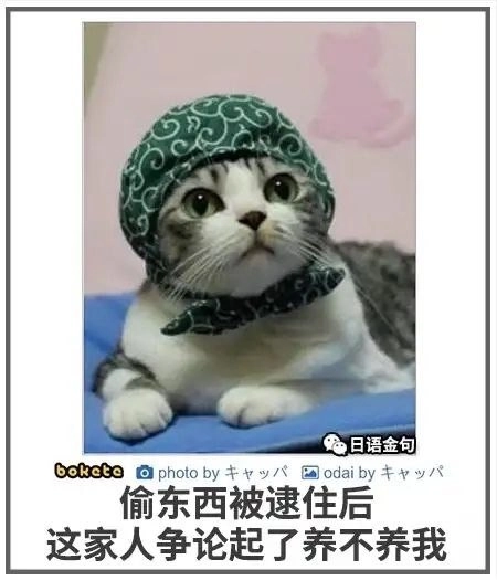 盗窃罪 终身监禁