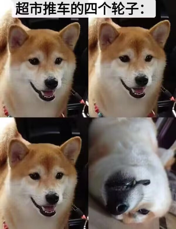 超市推车的四个轮子