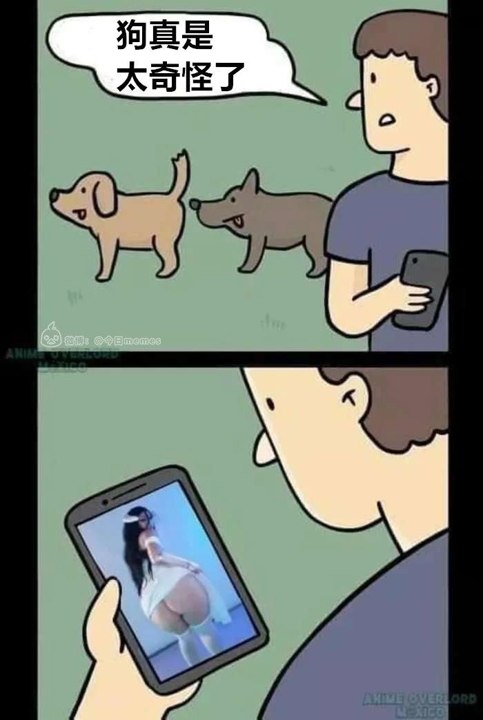 狗真是太奇怪了