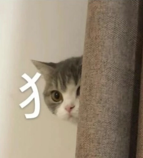 狗