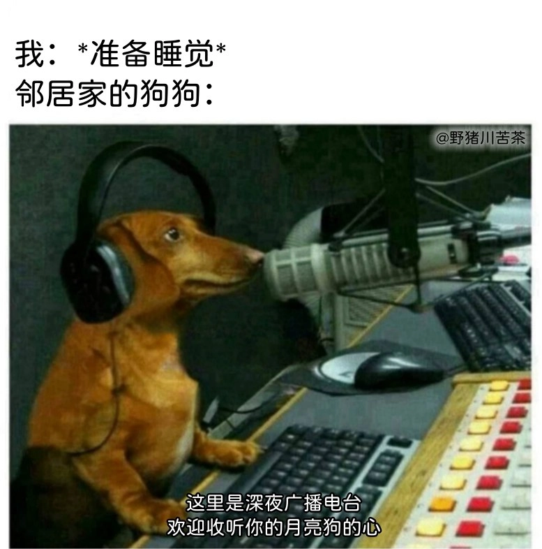 你的月亮狗的心