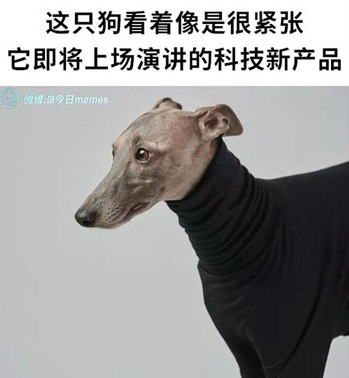 发布会