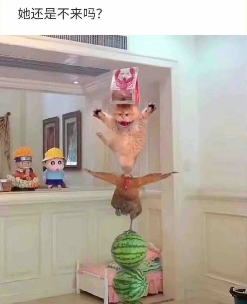 她还是不来吗？