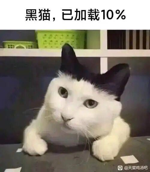 黑猫，已加载10%
