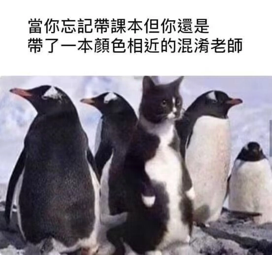 王企鹅