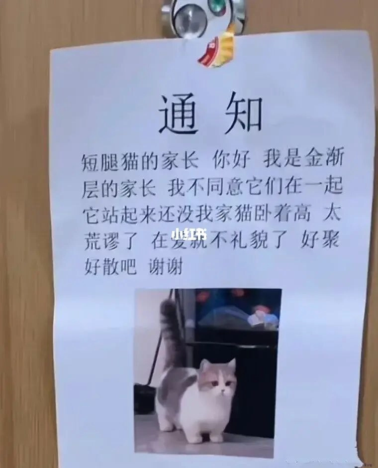 再爱就不礼貌了