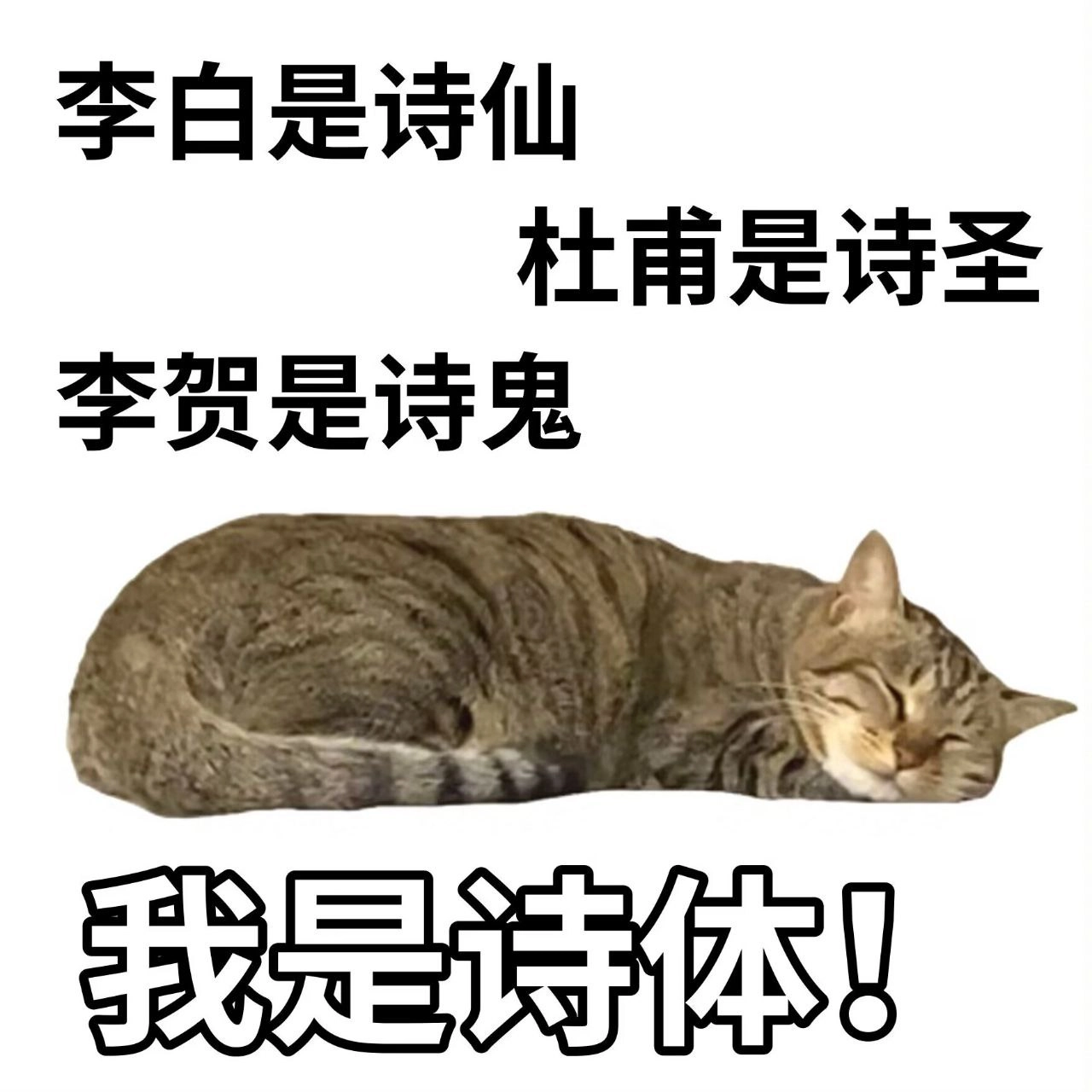 埃及猫