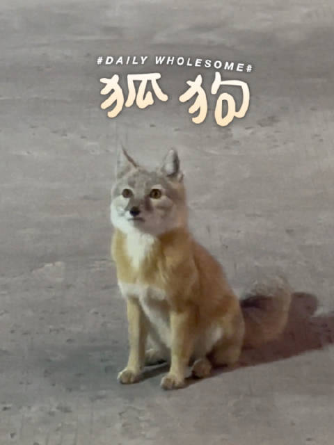 小亮老师小时候