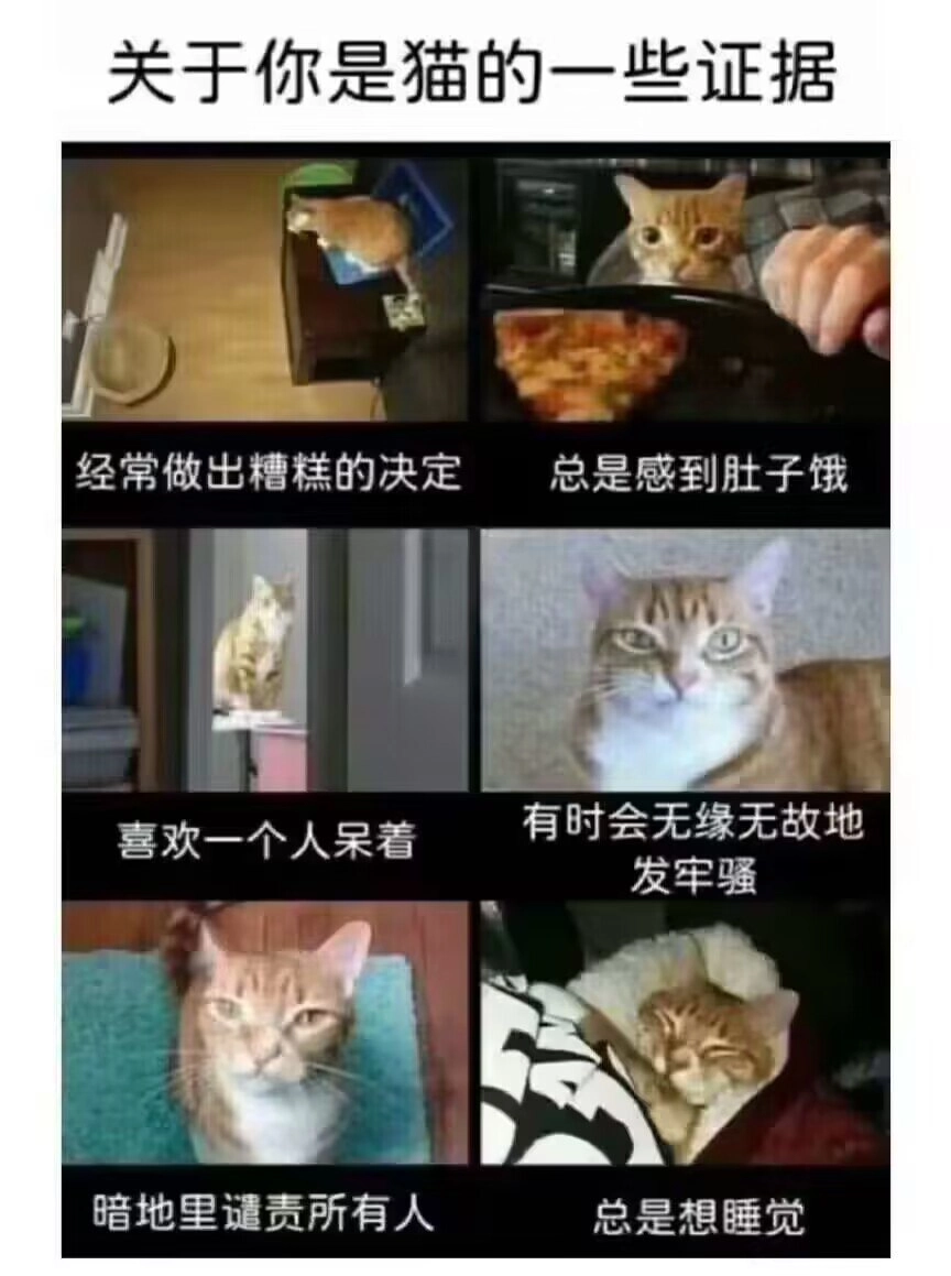 网站