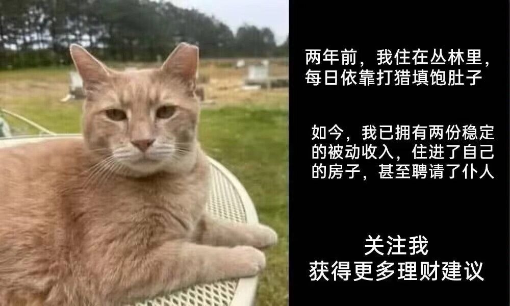 埃及猫