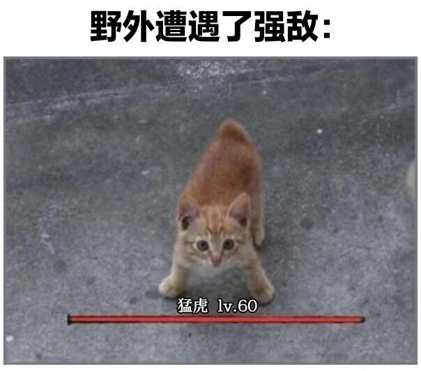迪诺