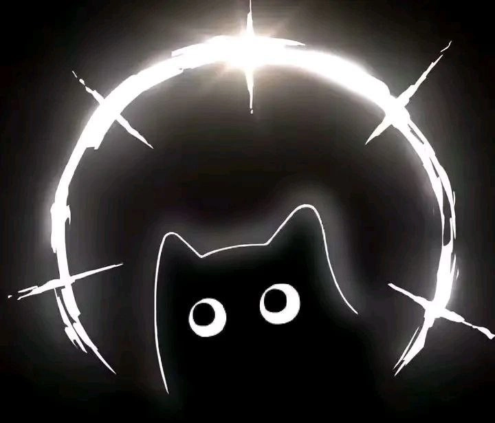 黑猫有白色的眼睛。