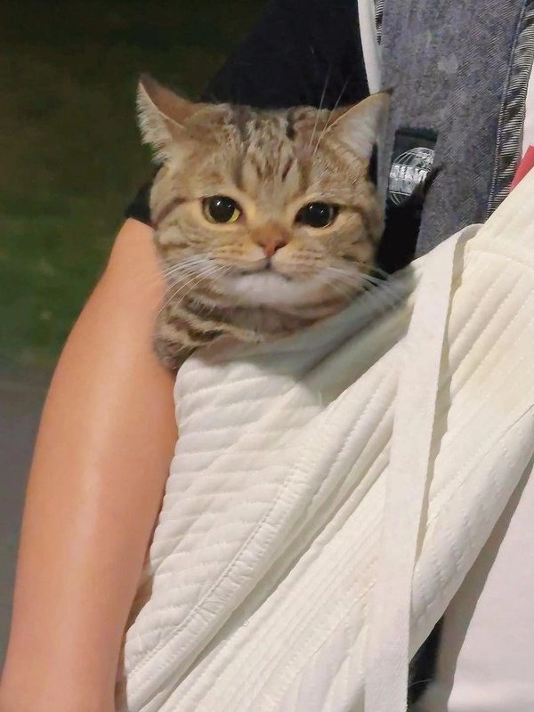 抱着小猫的人。