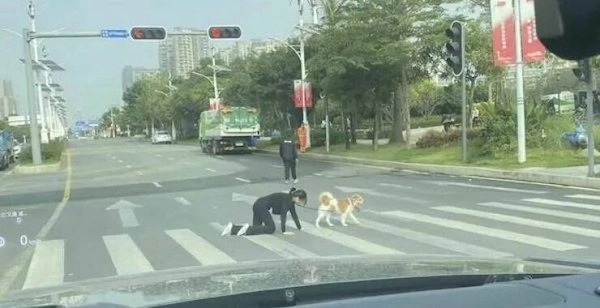 女人跪下来在十字路口养一只狗。