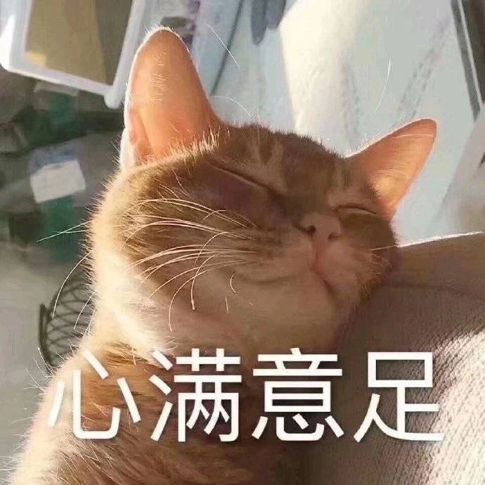 猫在沙发上睡觉