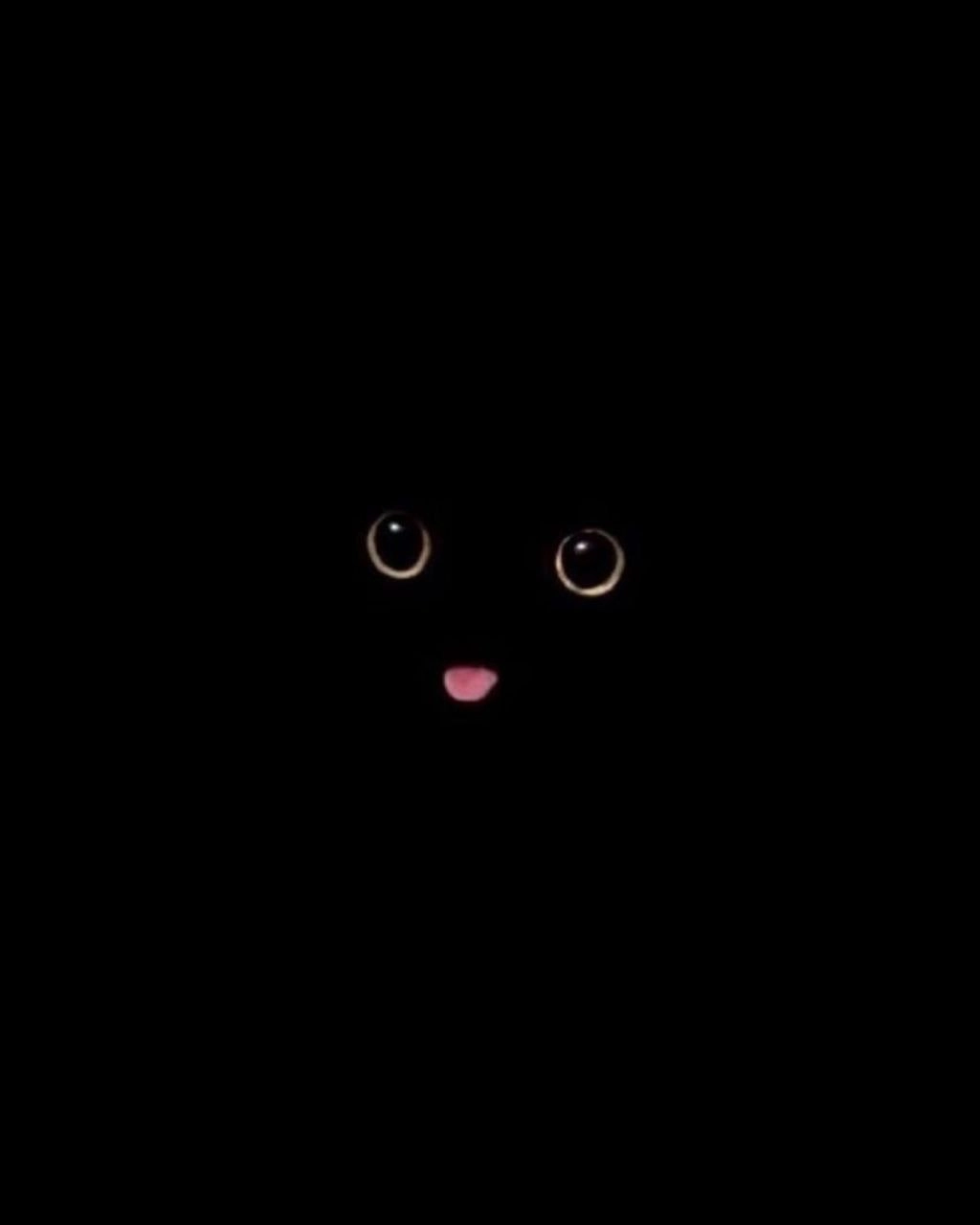 黑色和白色的猫的图像有粉红色的舌头。