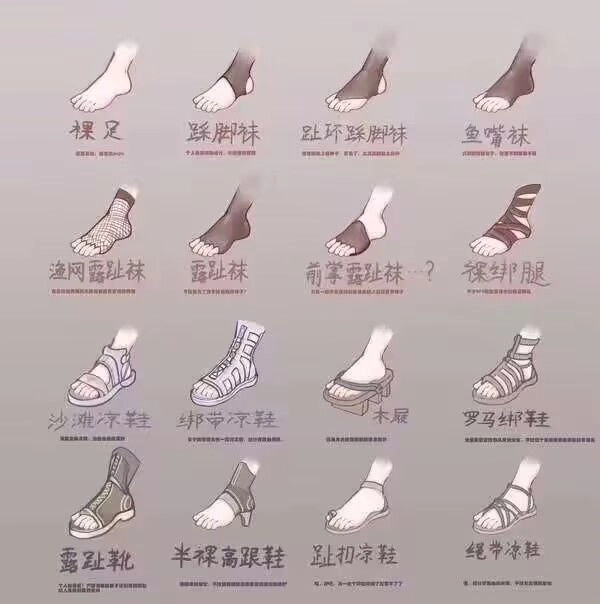 不同款式和尺寸的鞋子系列。