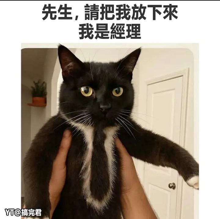 带着黑白猫的人。