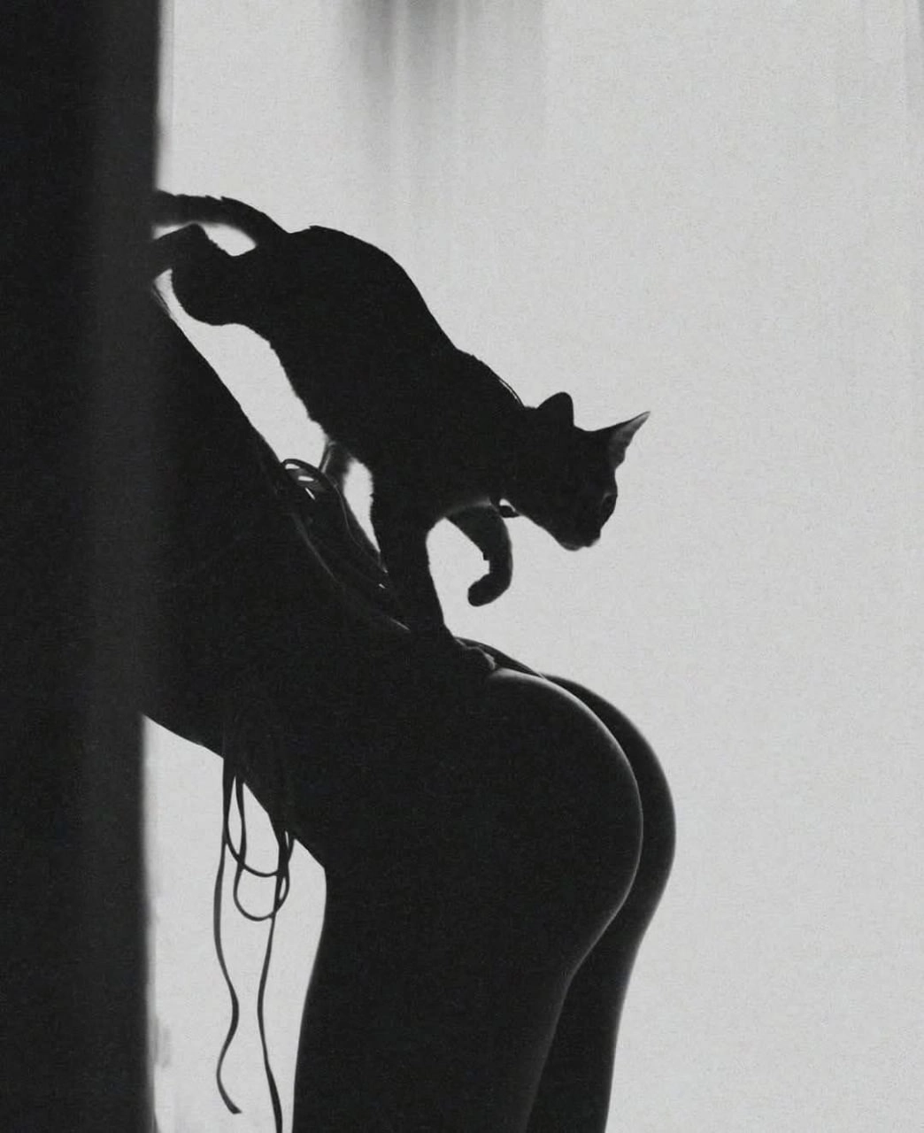 背上有一只猫的女人。