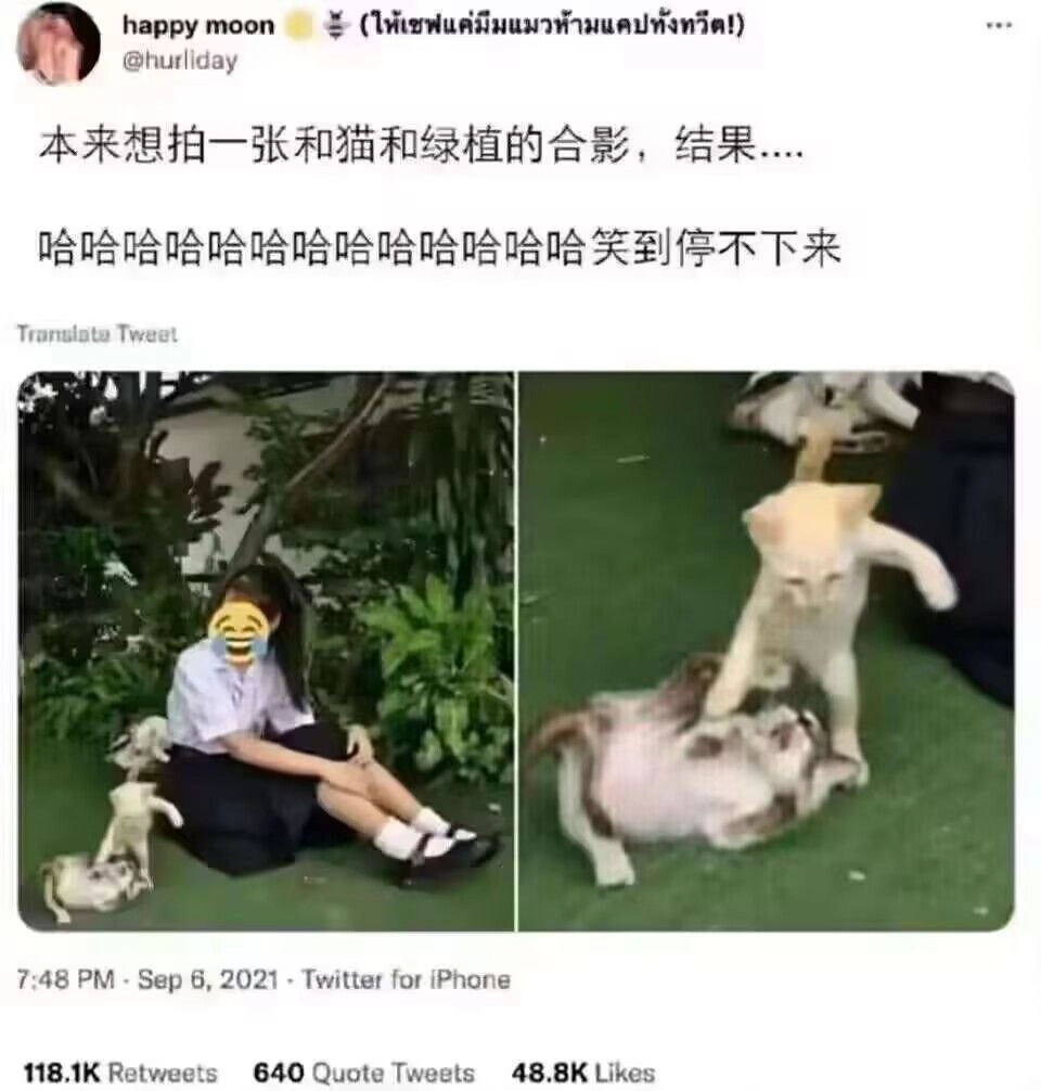 女人坐在地上,她的膝盖上有一只猫。