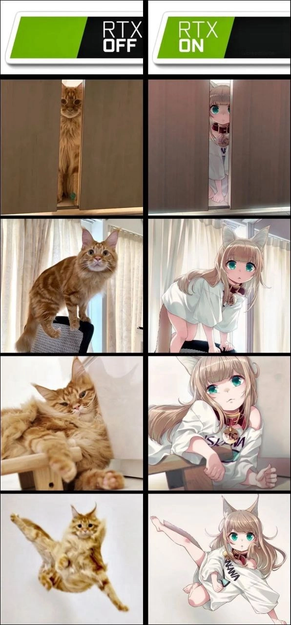 一只猫坐在椅子上。