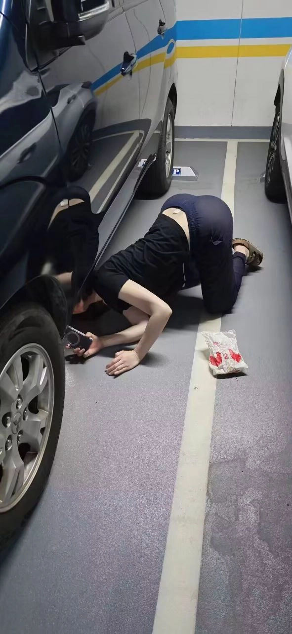 汽车旁边有一只猫,上面写着“我不是猫,我是车!”