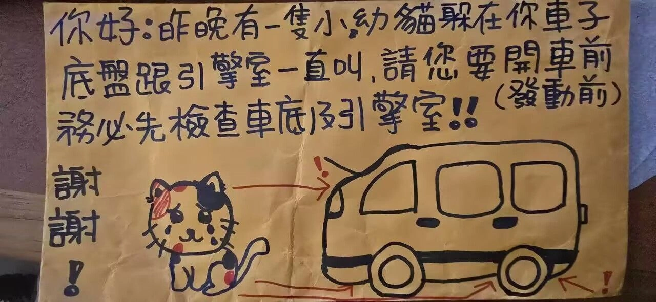 汽车旁边有一只猫,上面写着“我不是猫,我是车!”