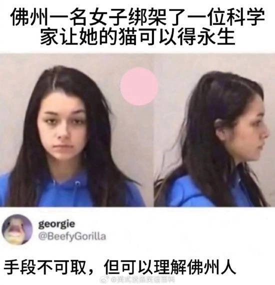 带着马尾巴的女人在法庭上。