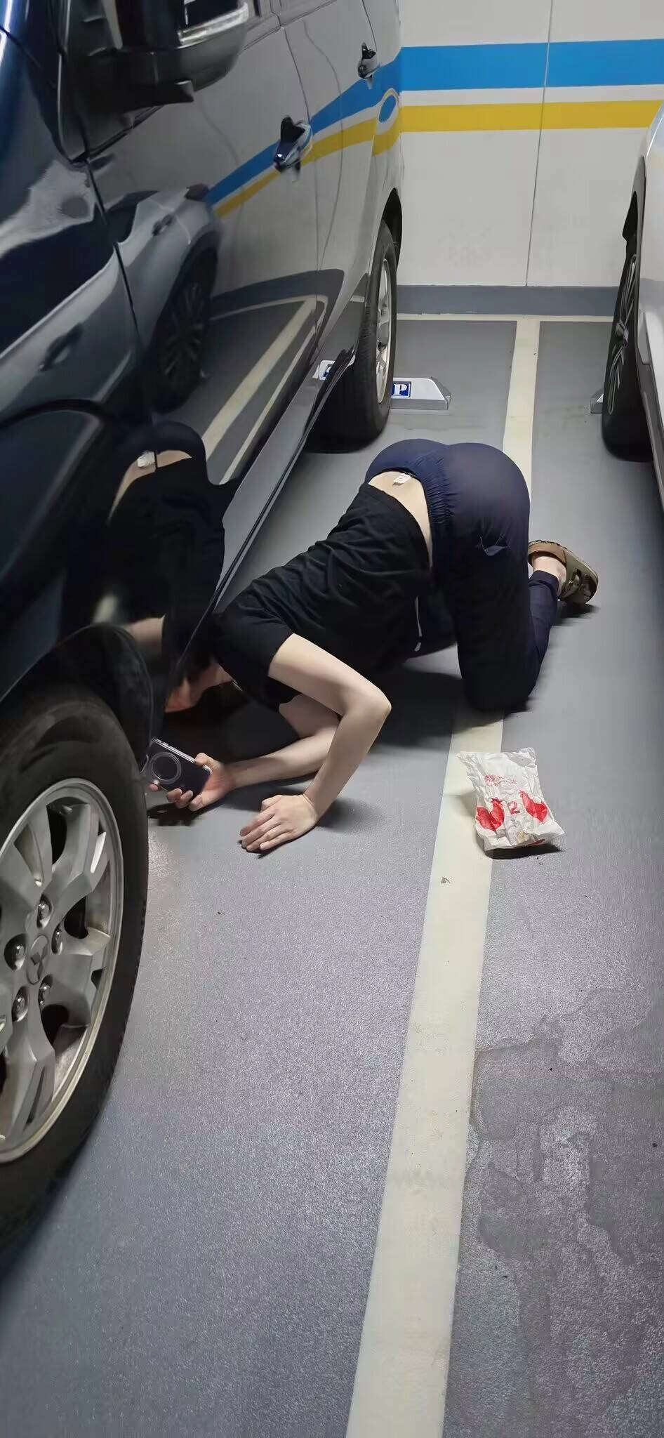 看到一只猫从车里跑出来。