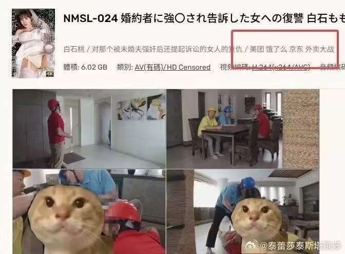 头上有一只红帽子的猫。