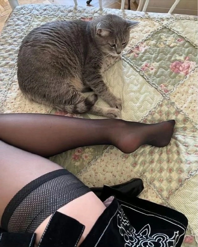 一只猫躺在女人的腿旁边的床上。