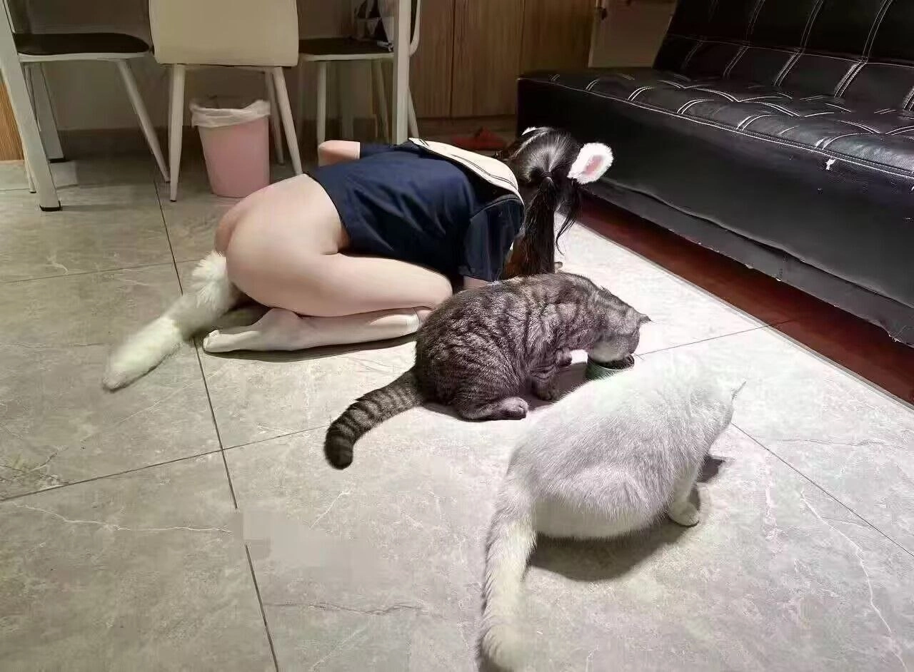 女人躺在地板上,带着两只猫。