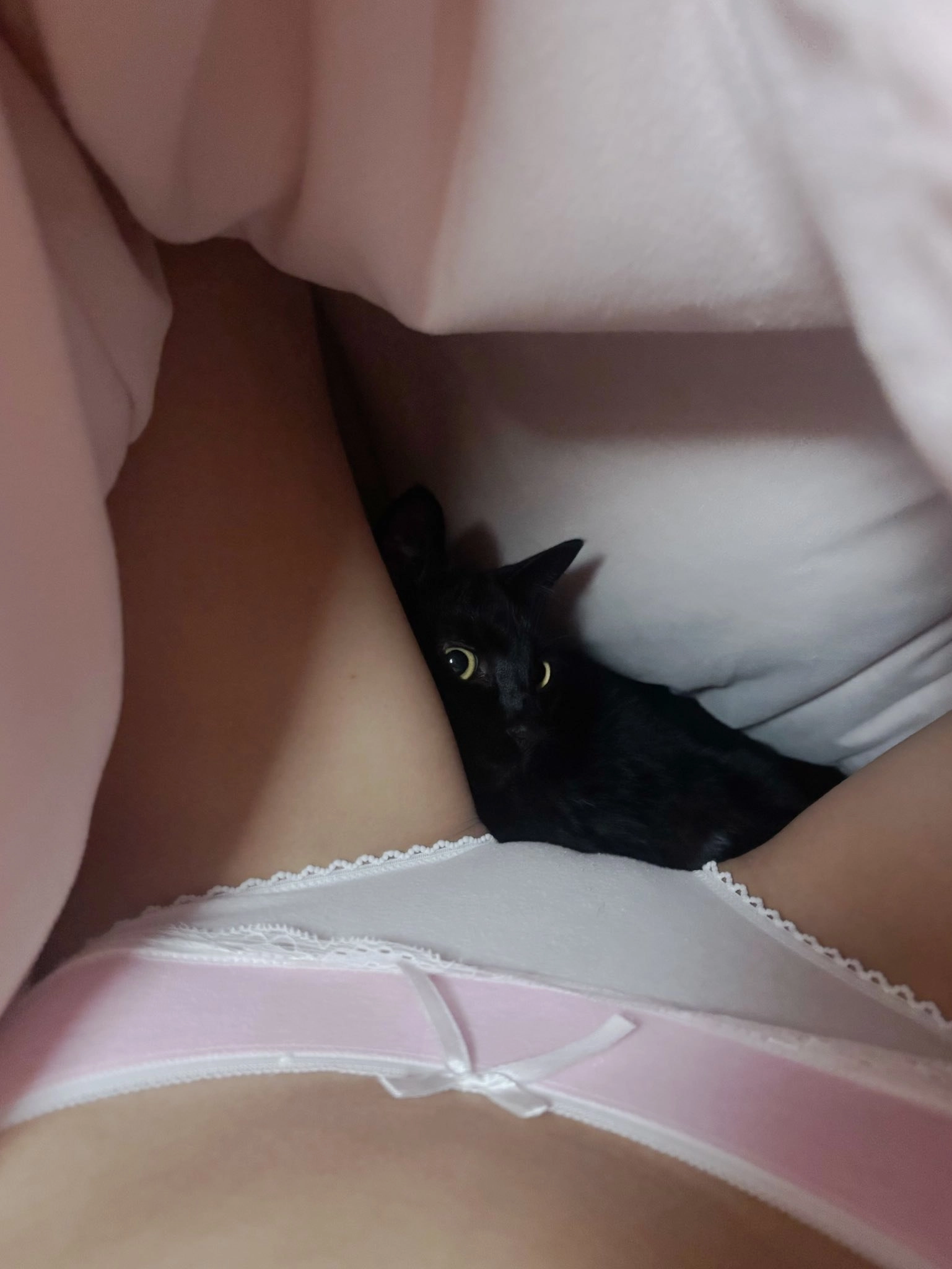 一只黑猫躲在女人的裤子底下。