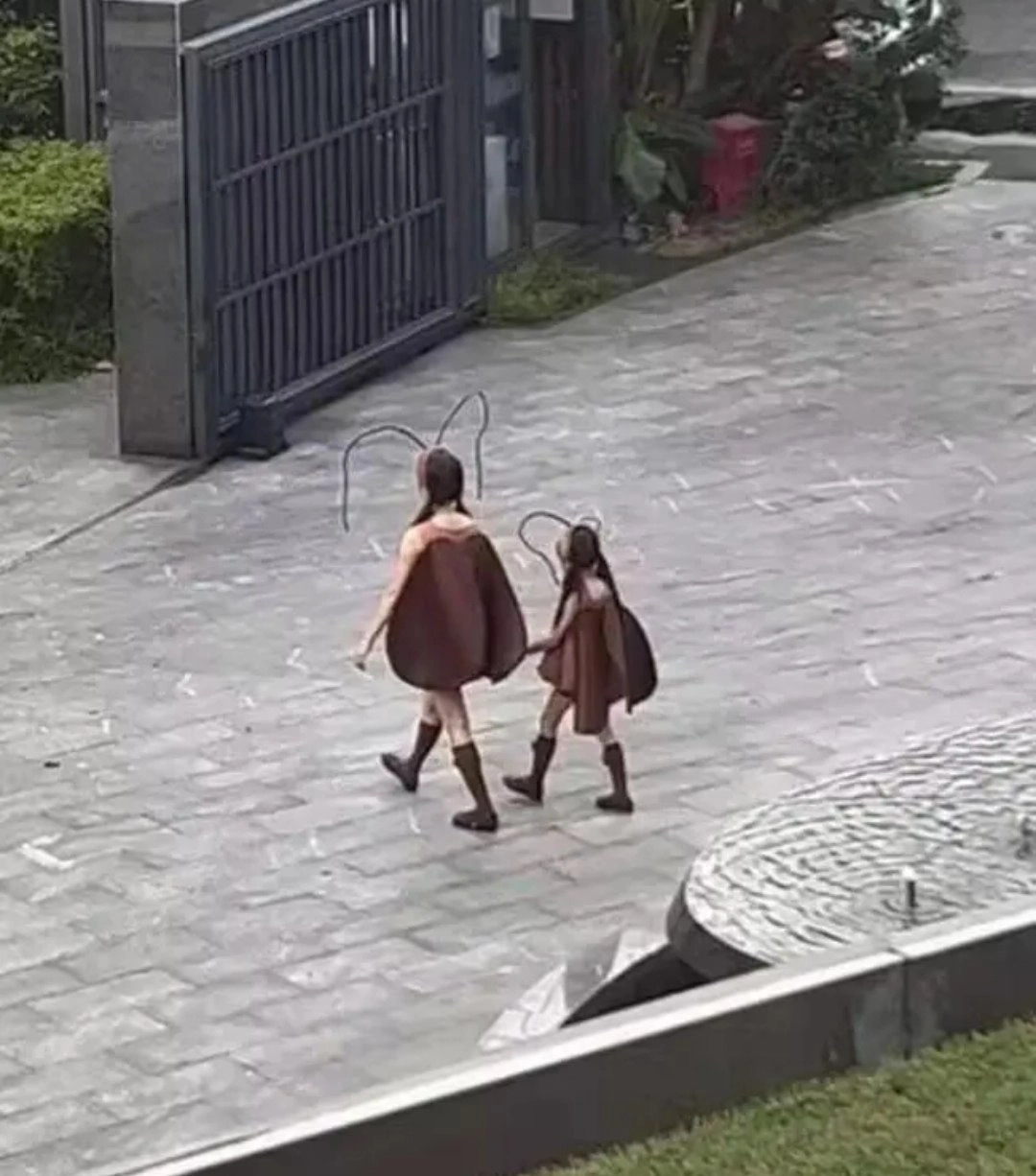 两名穿着蜜蜂的女孩走在一道走廊上。