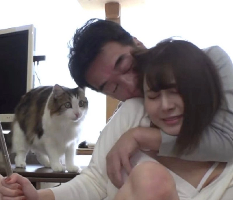 猫：你们秀恩爱，我就看看