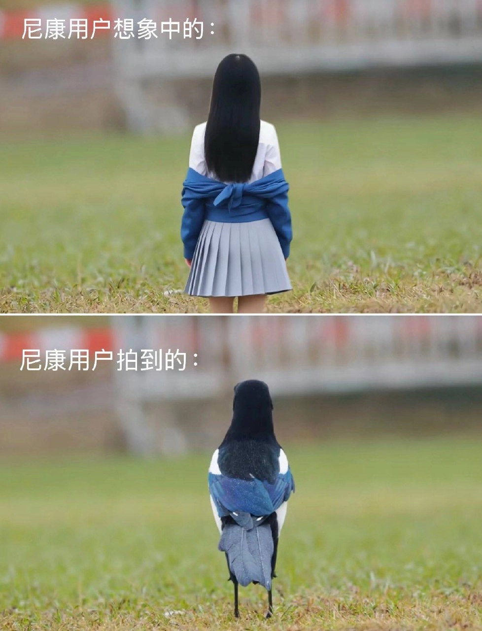 尼康用户理想与现实