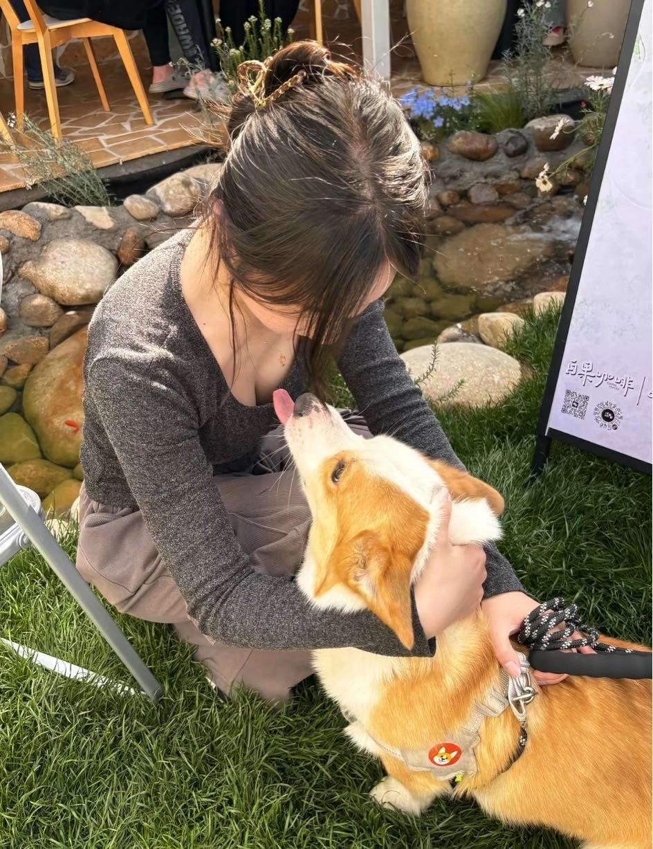 狗狗亲人一脸嫌弃