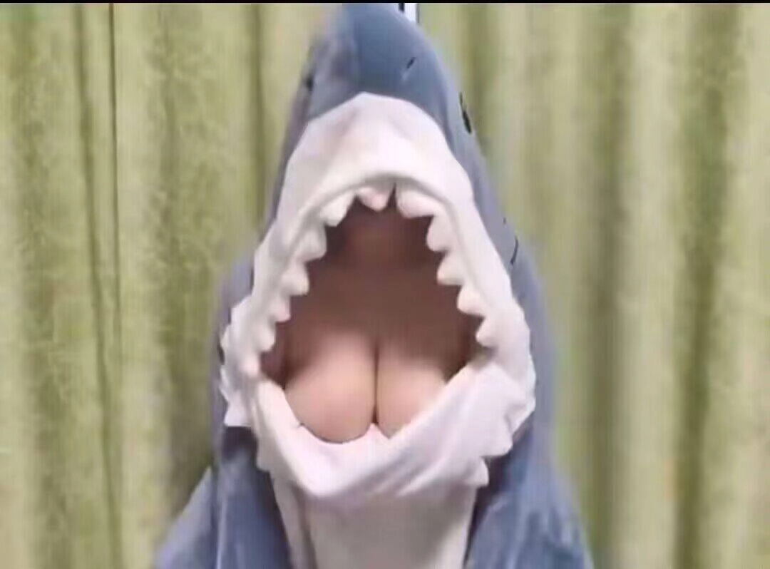 大白鲨的屁股洞