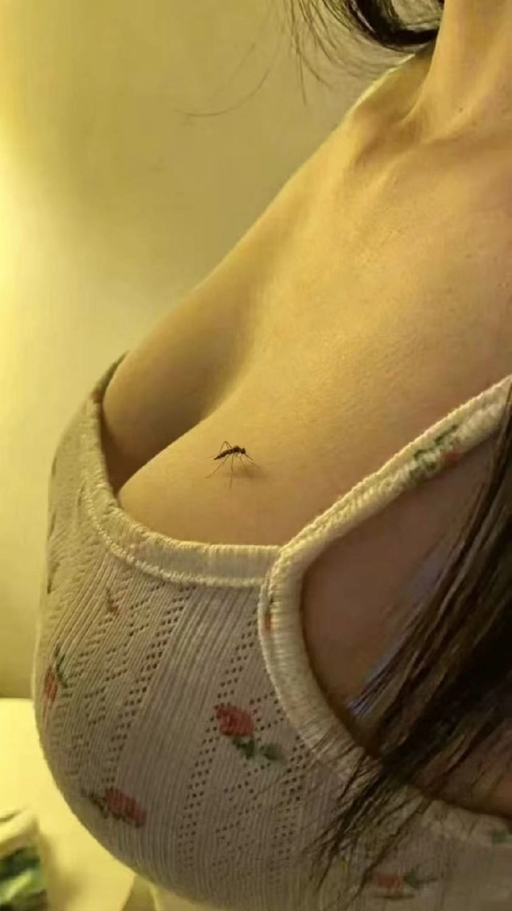 这蚊子真会找地方**