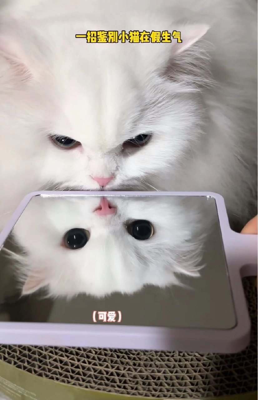 看镜子发现自己好美