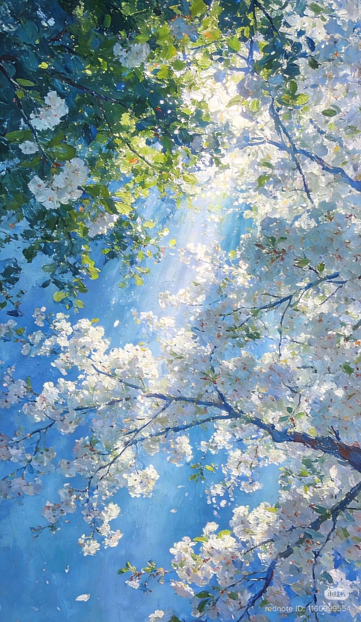 阳光透过树缝偷看世界